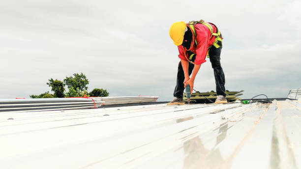 Best Steel Roofing  in Wharton, TX